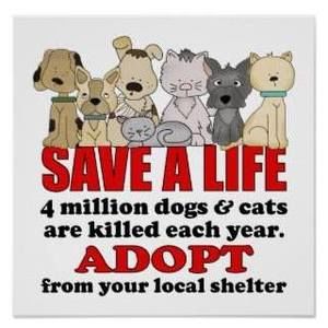 Meet your Posher, Dawn